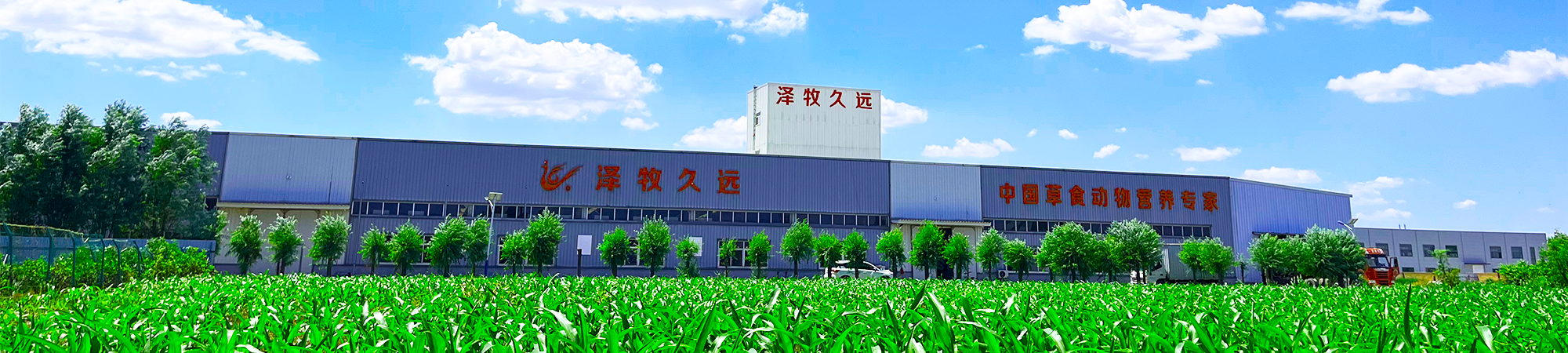 這是描述信息 這是描述信息